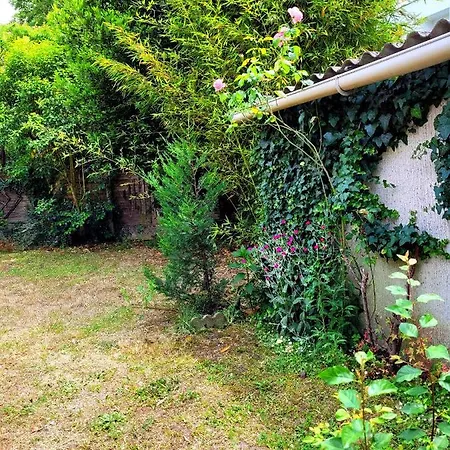 Villa Maison Avec Jardin Et Piscine A